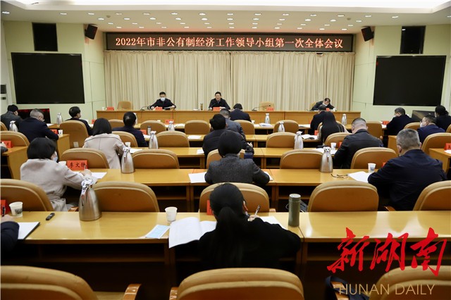 邵阳市非公有制经济工作领导小组2022年第一次全体会议召开_邵阳头条网