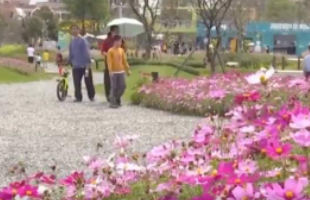 提醒！春季踏青虫子落身上别随意拍打