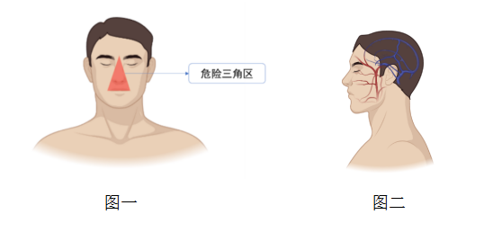 危险三角区范围图片图片