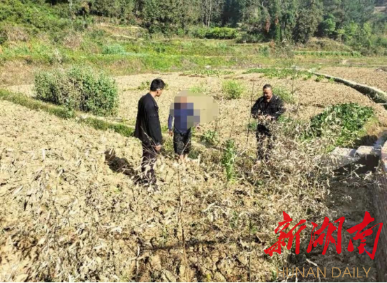 隆回县山界回族乡：禁种铲毒不留死角