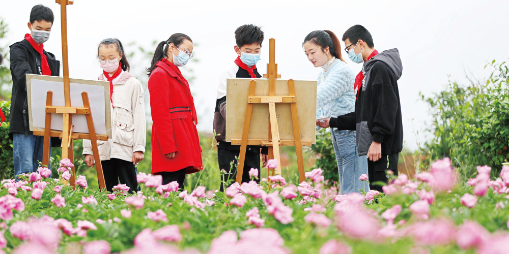 芍药花开游客来