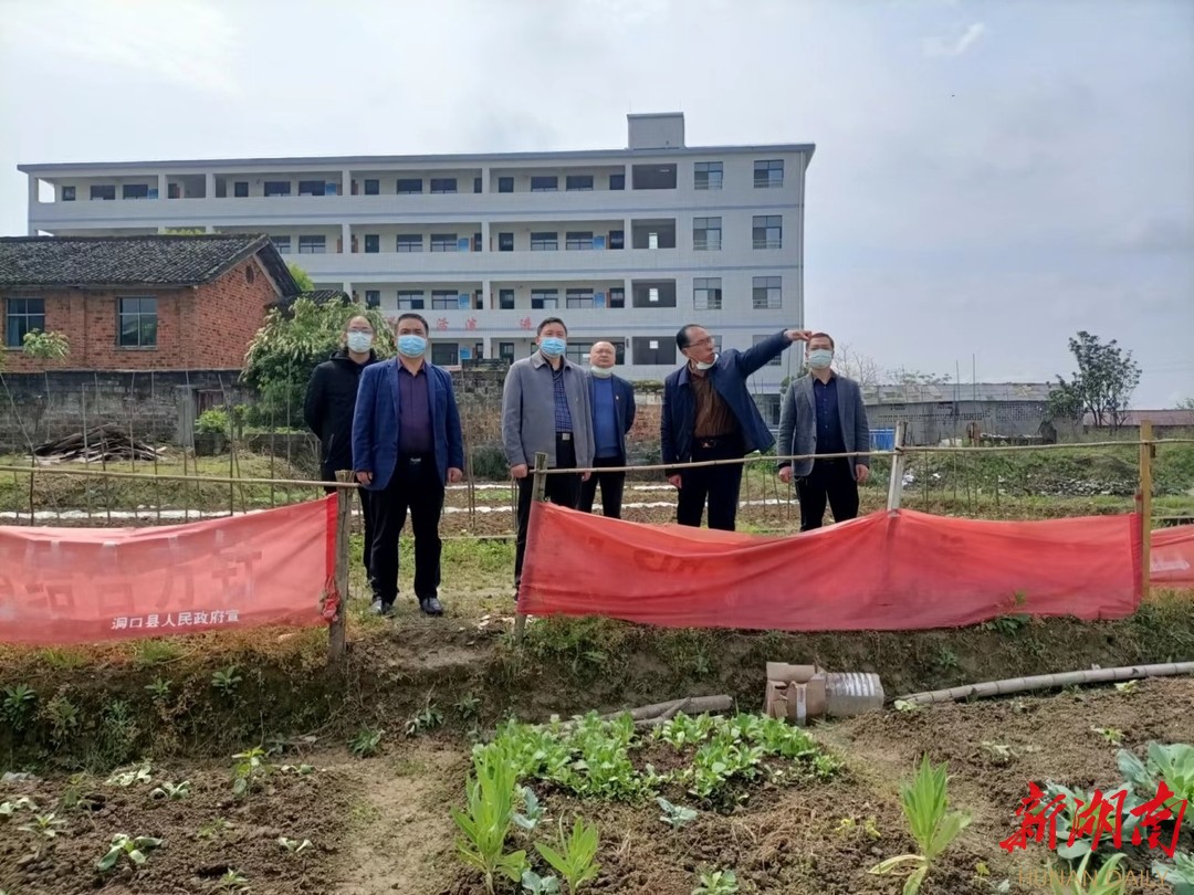 一行以"四不两直"的方式深入洞口县雪峰街道城东小学检查指导工作