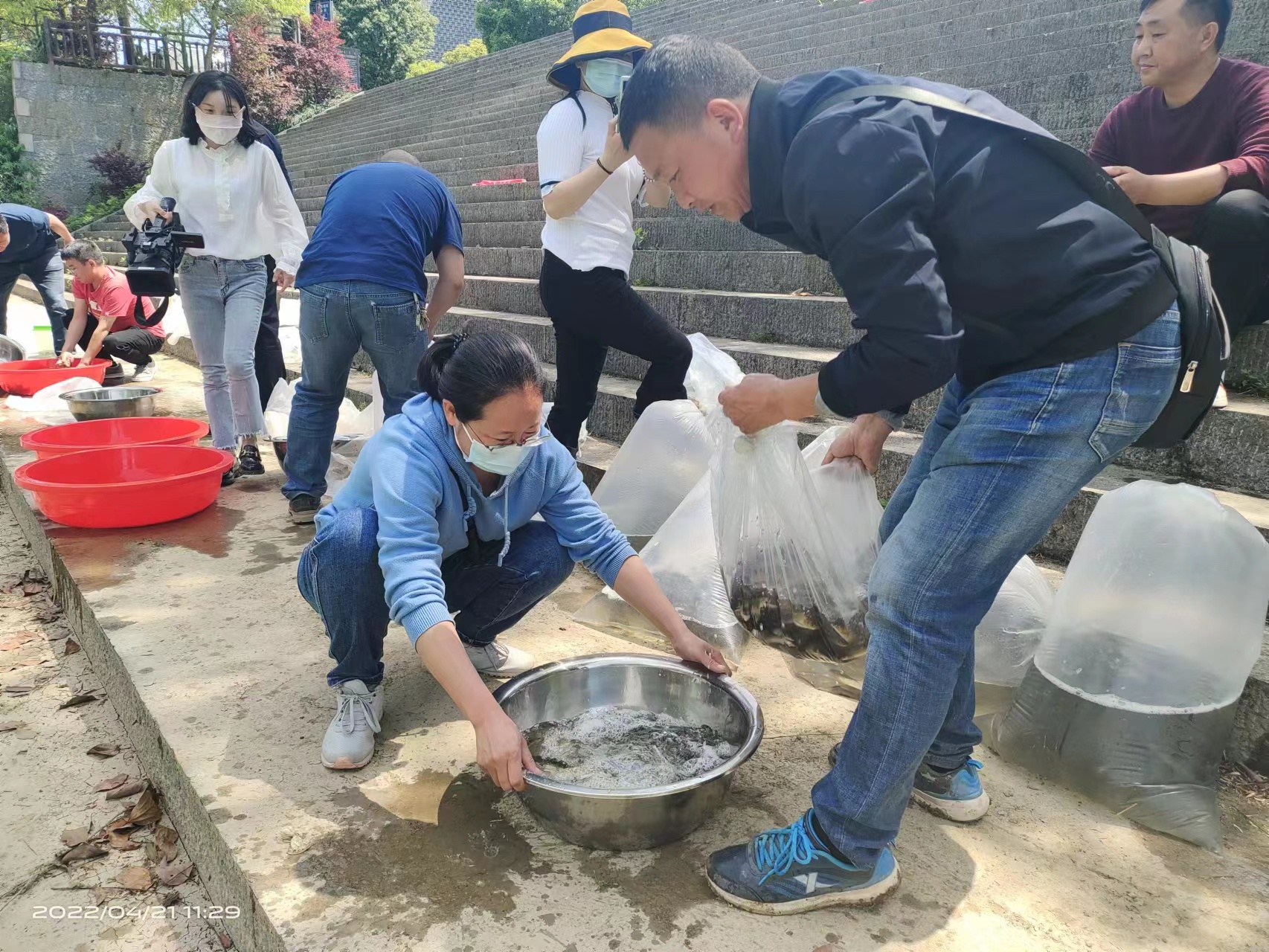 4萬尾魚苗“安家”洗車河——龍山開展魚類人工增殖放流活動(dòng)