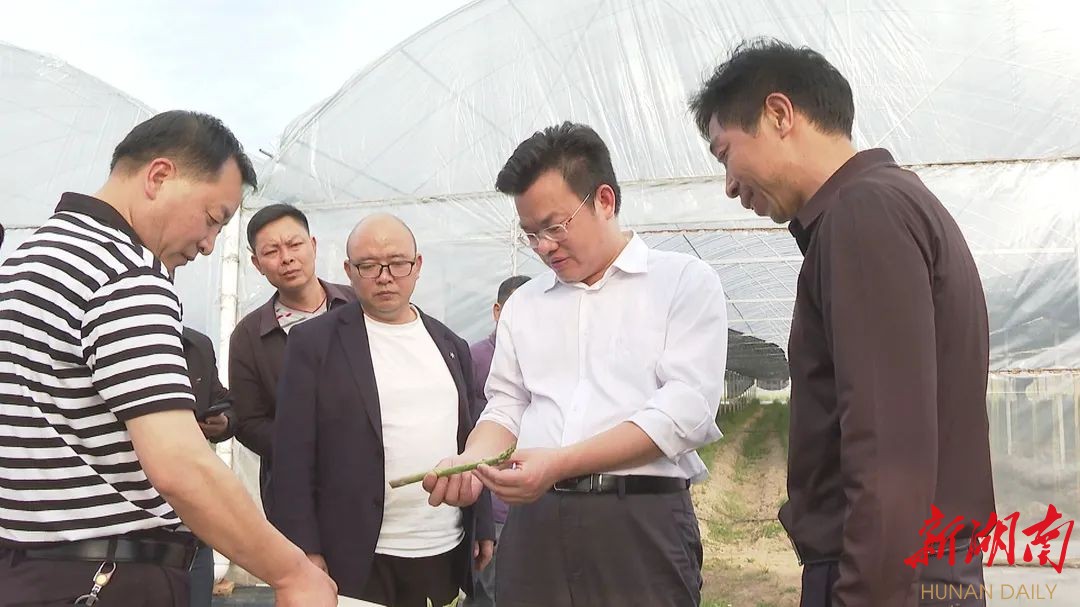 王洪灿专题调研农业产业化发展情况
