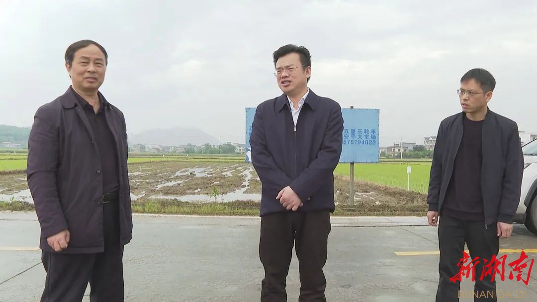 王洪灿深入乡镇督导春耕生产等工作