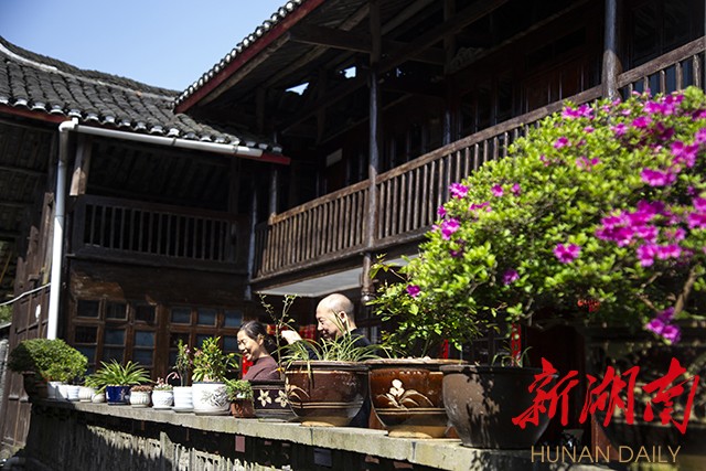 洪江市龙船塘瑶族乡翁朗溪村许又宾的美丽庭院。向静楠 摄