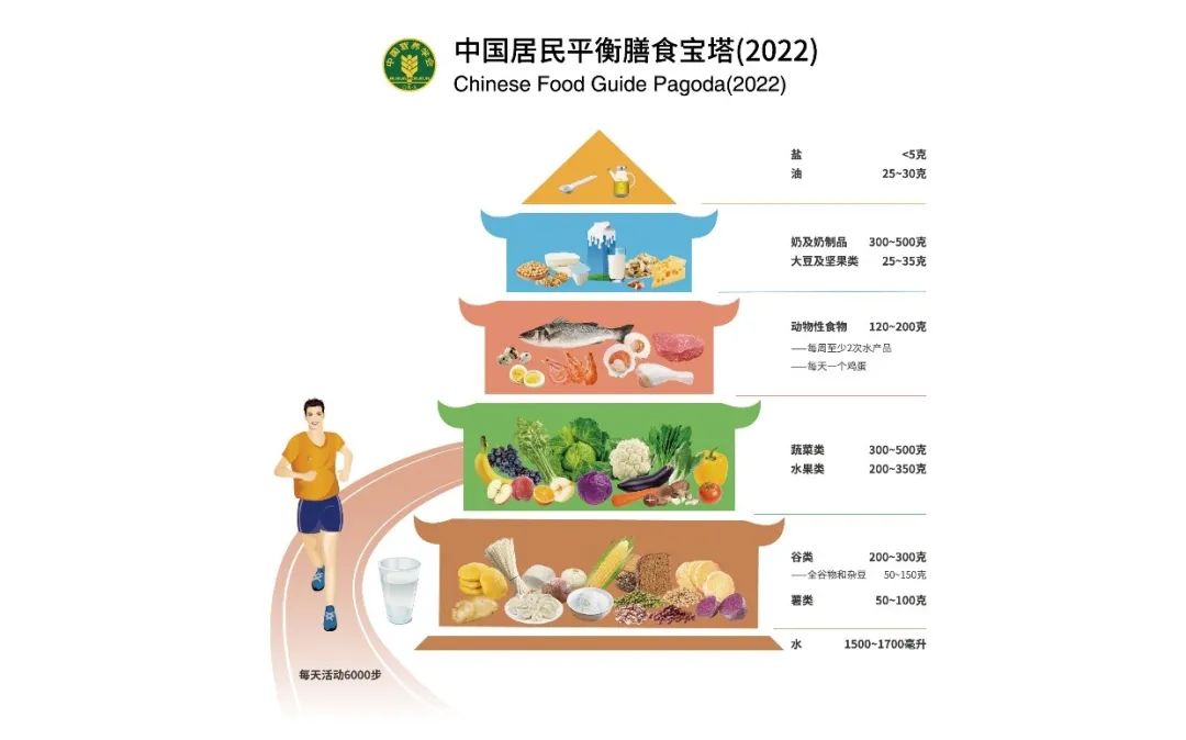 新版中国居民膳食指南发布一文掌握最新要点