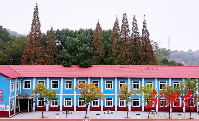 最美家乡推荐官之最美校园株洲市荷塘区八达小学春日彩色协奏曲