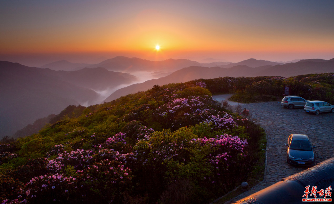 唱響好永州 | 全面打卡陽明山,解鎖景區