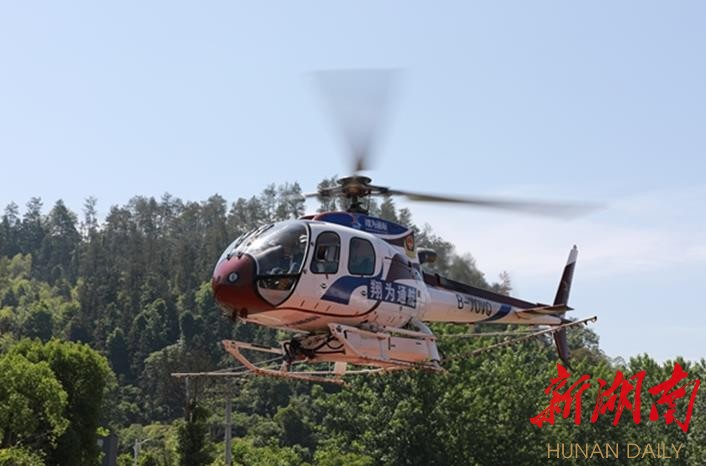 绥宁县利用直升机、无人机防治松林毛虫