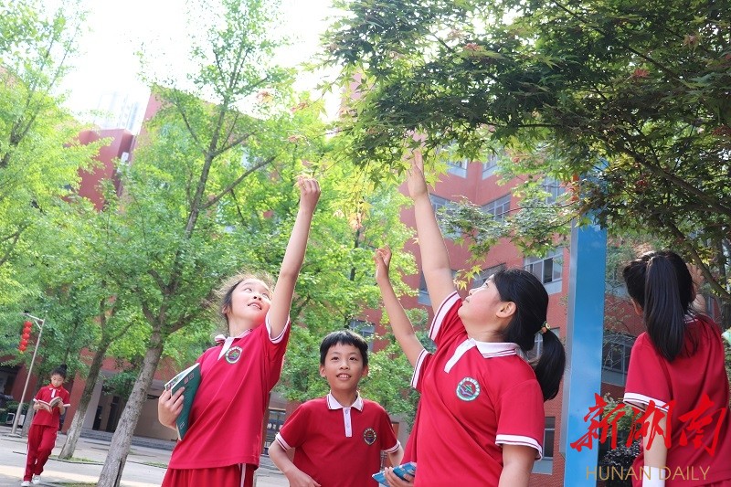 最美家乡推荐官之最美校园石门四中双减下的美丽校园