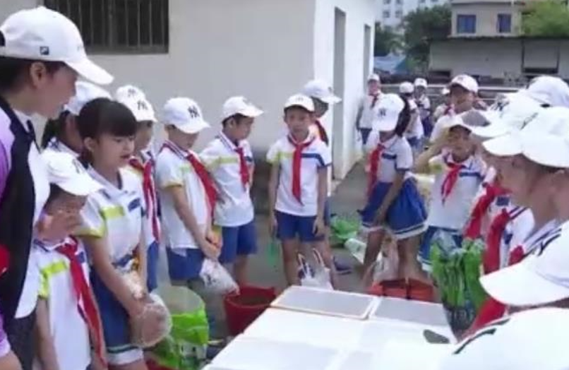 中小学今秋开设劳动课 效果如何？与升学挂钩吗？一问到底→