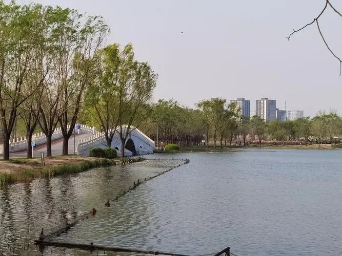 北京部分公园临时闭园，名单来了