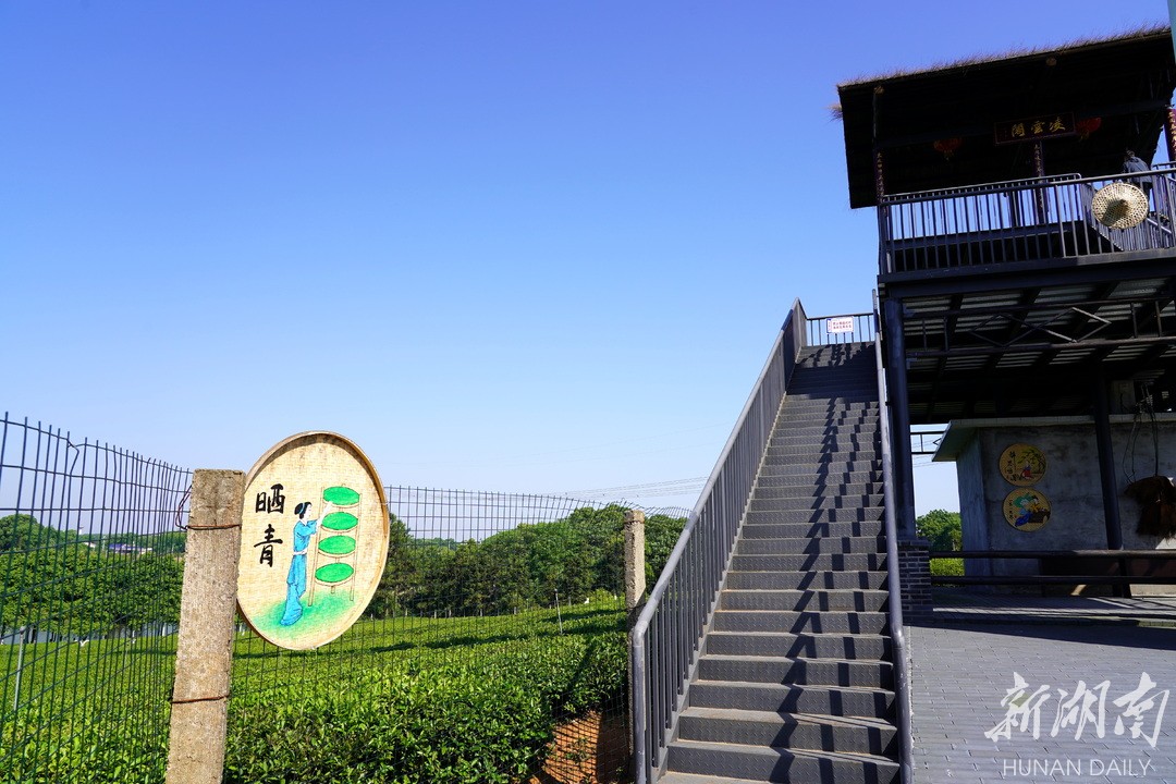 凌云阁.凌冲村村道沿线.