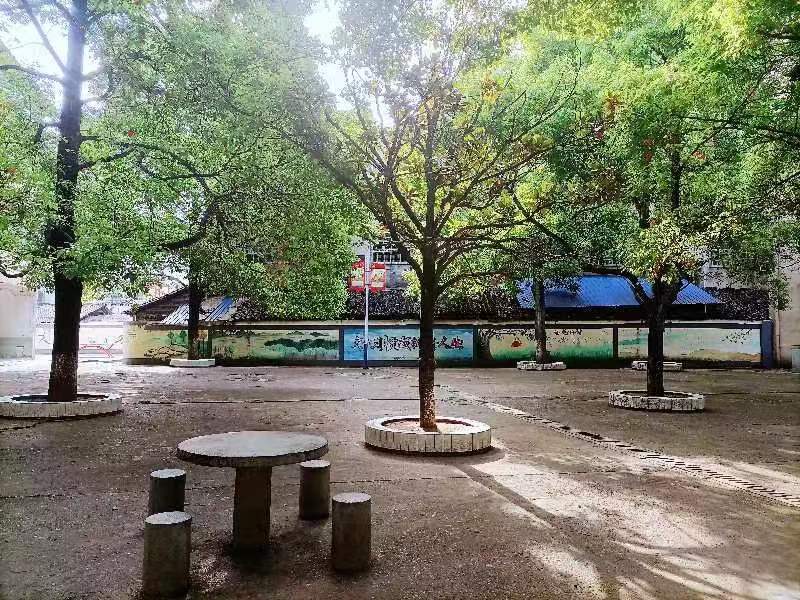 最美家乡推荐官之最美校园祁阳市龚家坪镇云排岭学校幽香四溢沁满园