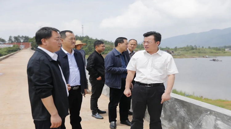 王洪灿调研防汛备汛、自建房整改和土地抛荒整治工作