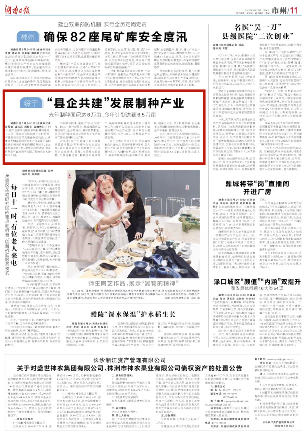 湖南日报市州版头条 | 绥宁“县企共建”发展制种产业