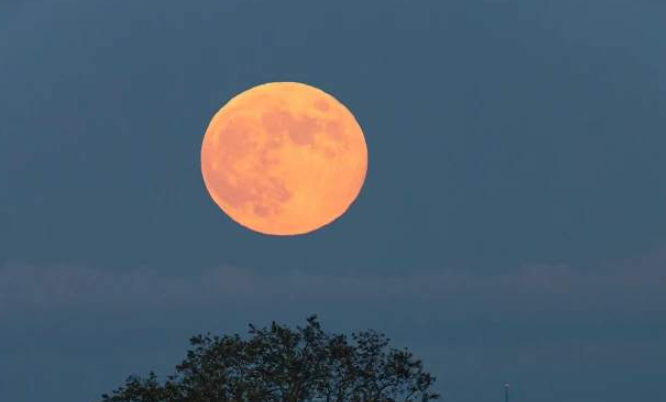 6月观星指南来了！定好闹钟，一起仰望星空
