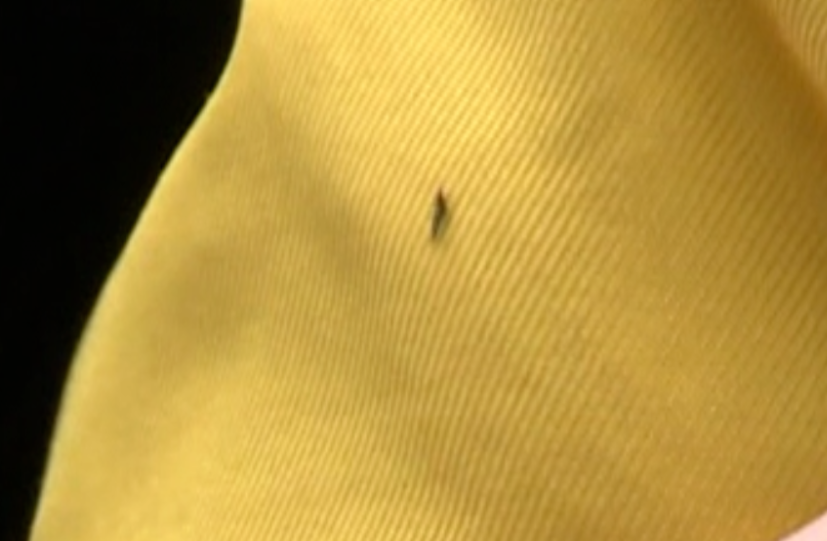 提醒！最近少穿这种颜色的衣服出门