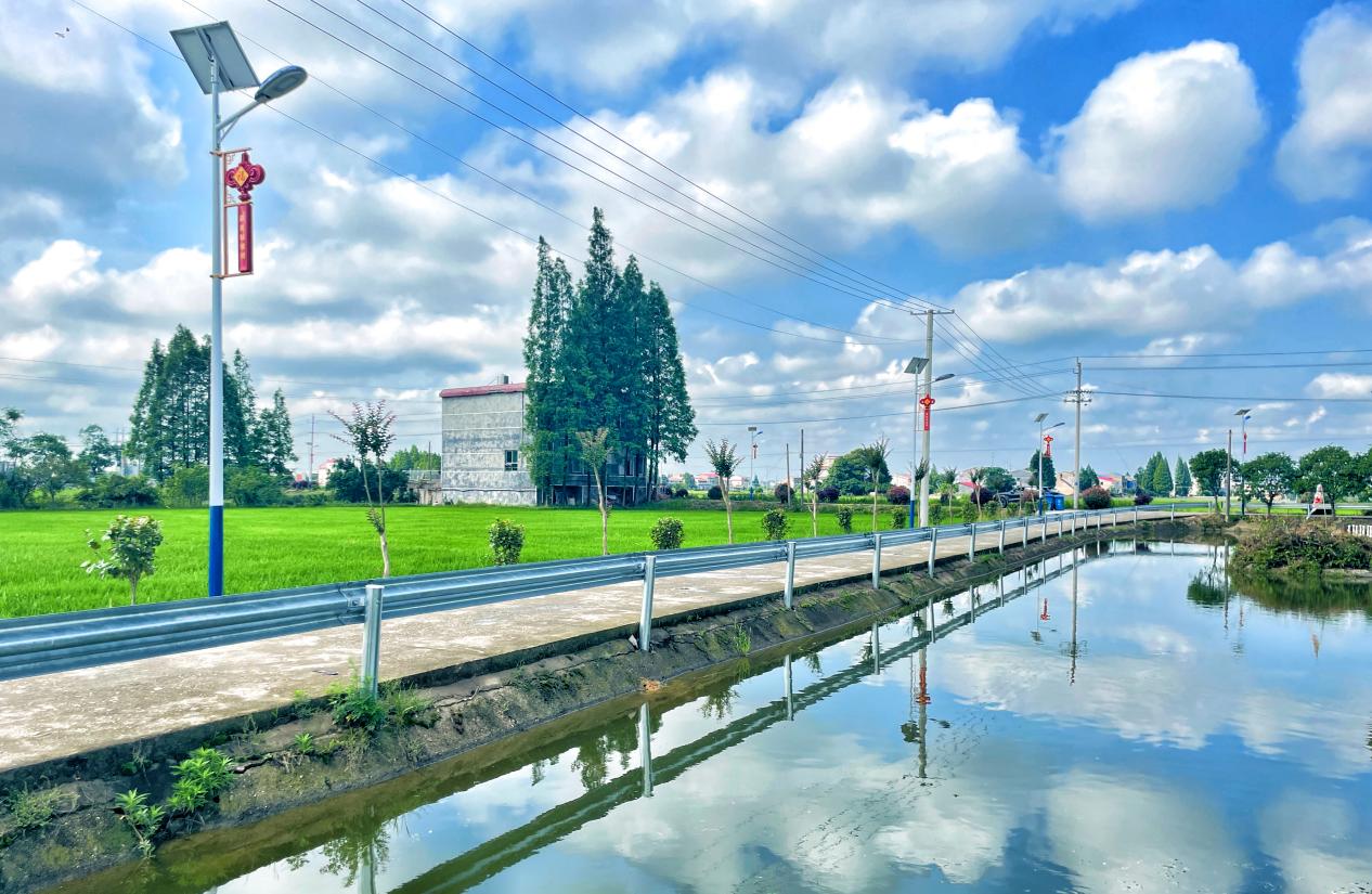 湘阴县湘滨镇:乡贤聚力,干群携手,绘就美丽乡村画卷 - 乡村动态