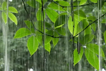 交通运输部：暴雨等天气正影响这些路段通行