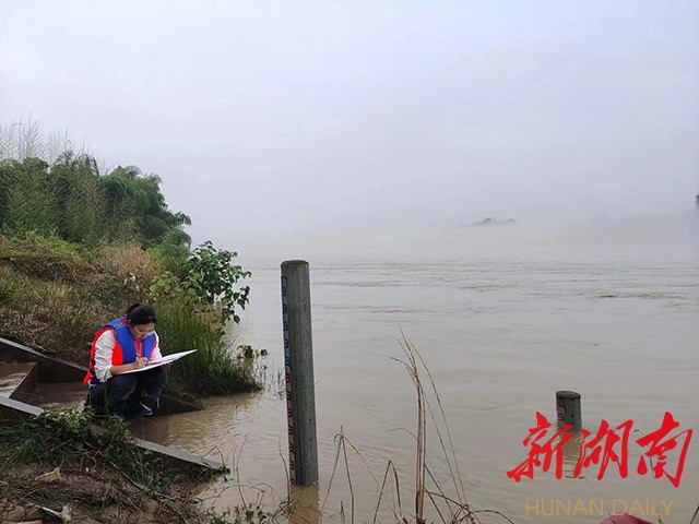 退水后，麻阳水文局杨慧继续在水边观测水位