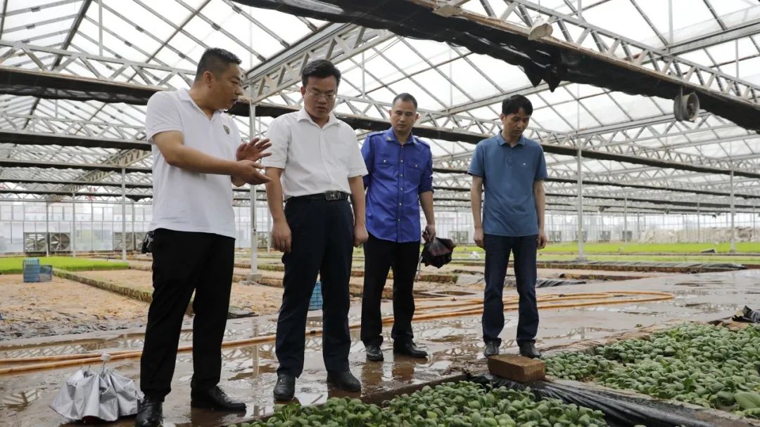 全省“三夏”工作暨农机合作社建设现场会6月22日在安仁召开！王洪灿调研筹备工作情况
