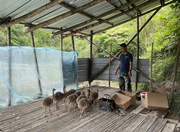 小山村里来了稀罕物