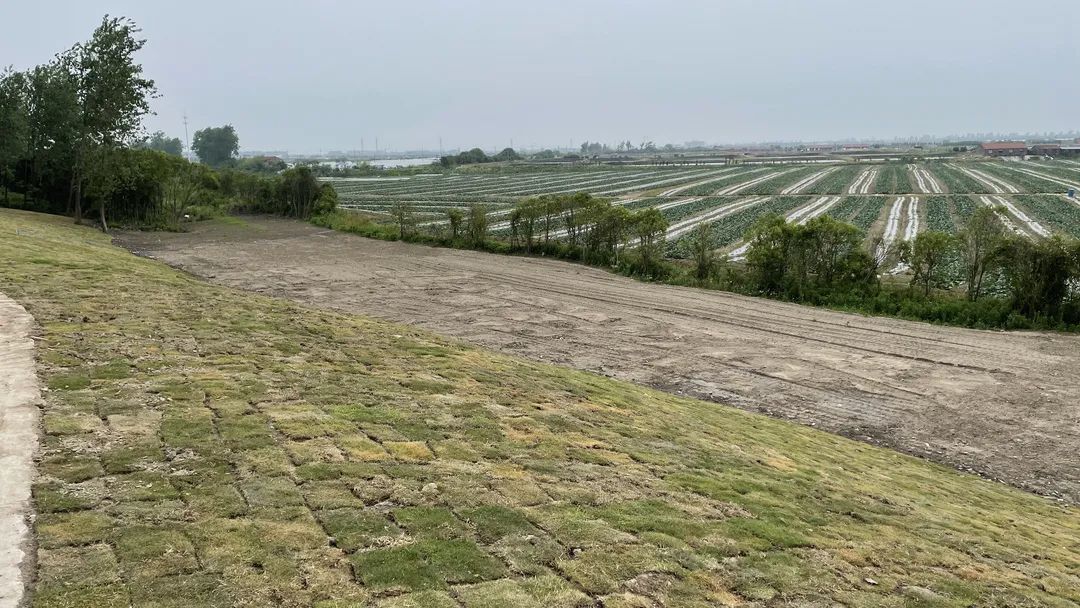 向河道堤防偷倒渣土，可判刑！