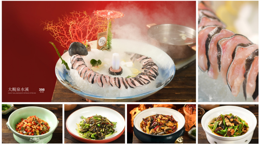 湘西餐饮文化又添新名片 乌龙山寨推出“大鲵全宴”