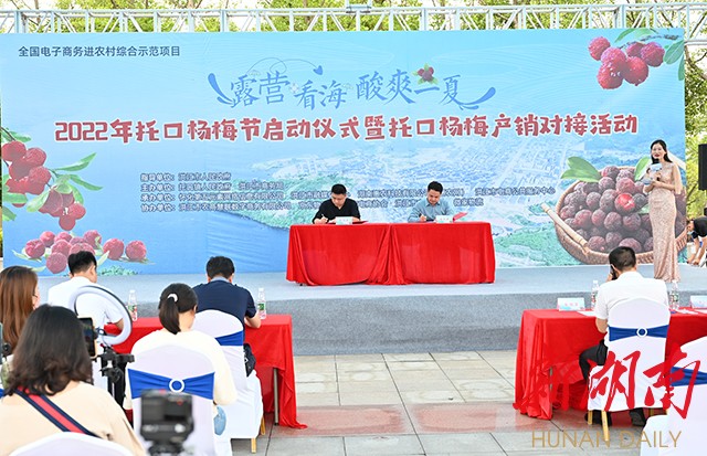 在托口杨梅节上,电商企业在进行签约仪式。 在托口杨梅节上,电商企业在进行签约仪式。