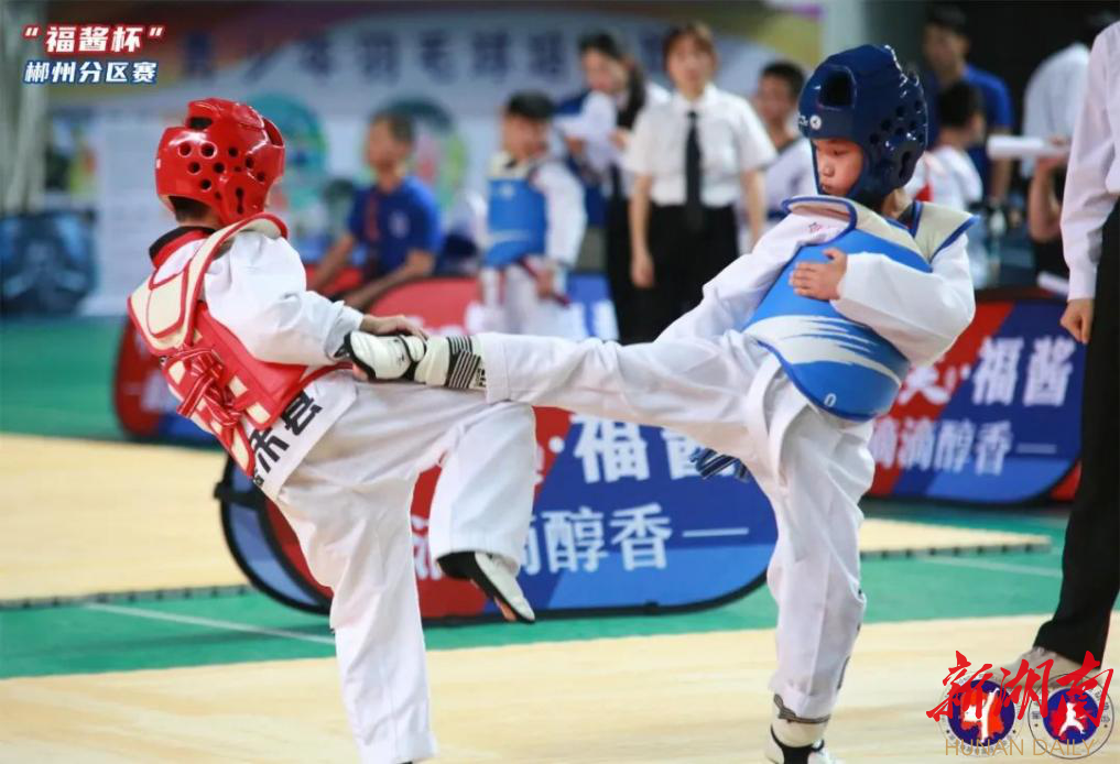 2022省跆拳道系列赛暨郴州“体彩杯”U系列赛举行