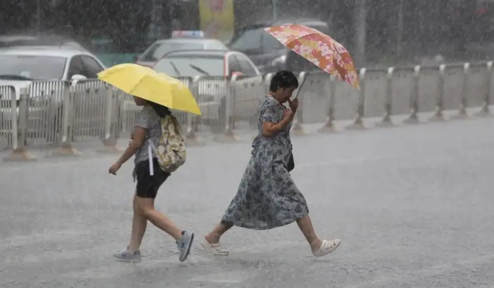 全省多地强降雨，省疾控发布环境卫生应对指南
