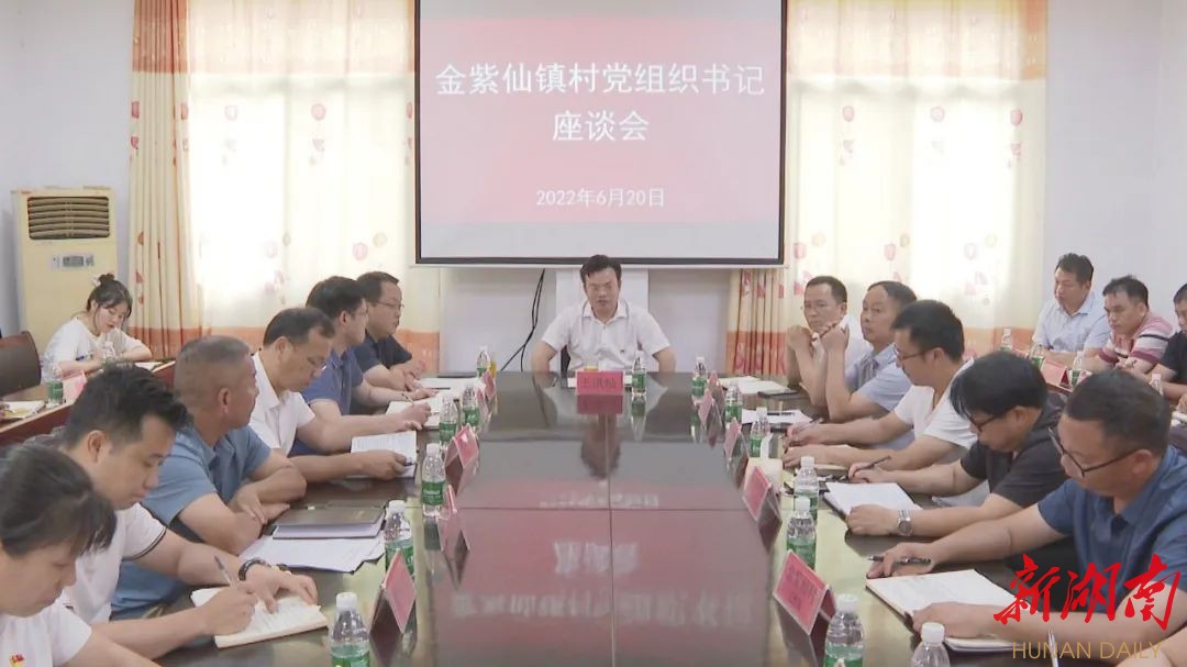 王洪灿赴金紫仙镇调研基层党建工作