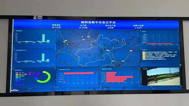“果果绿”为全县农户搭建了数字农业云平台 “果果绿”为全县农户搭建了数字农业云平台