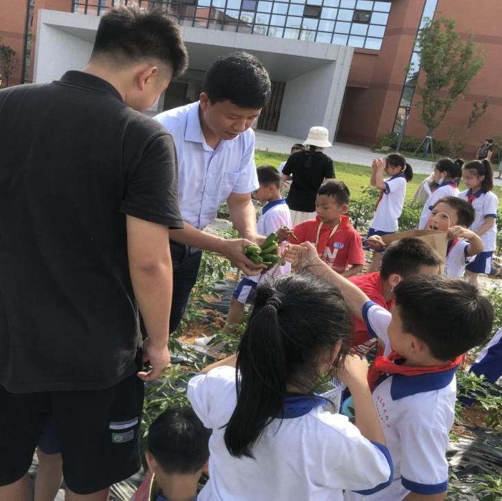 小小种植园 快乐大丰收