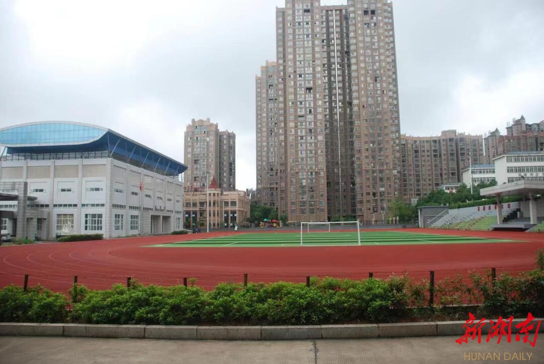 长沙市新城学校党总支书记陈建华的"专教"心路历程-新湖南