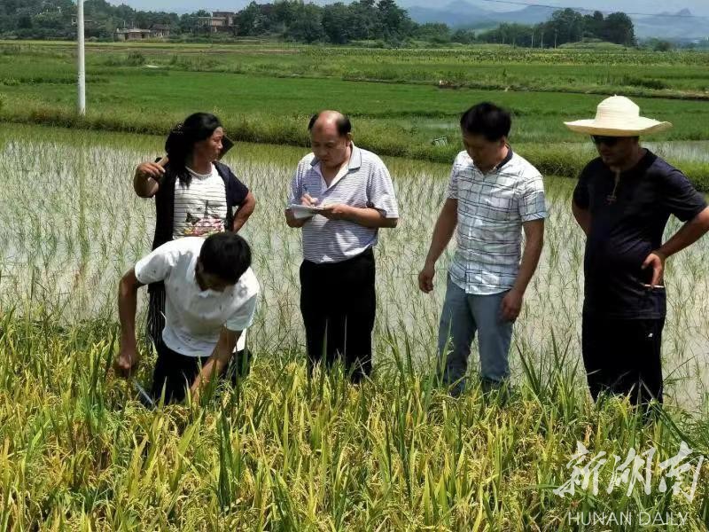 择一业 干一生——记宁远县农业综合服务中心高级农艺九游会J9 J9九游会师胡兴(图2)