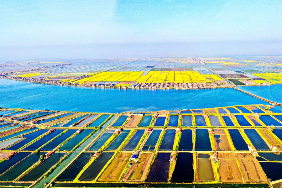 中洲乡：湖色水乡的产业振兴之路