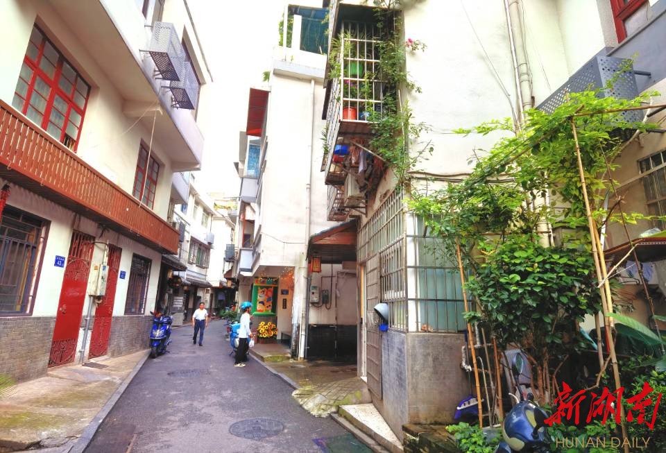 走读长沙老街镇⑧丨千年妙高峰，心灵归属地