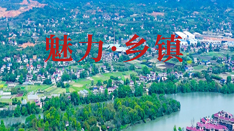 镇域风采