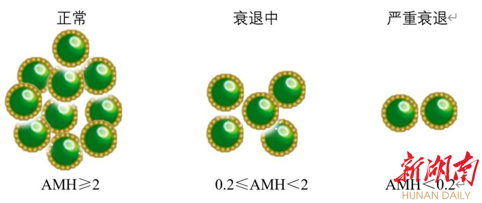 图为AMH水平(ng/ml)VS卵泡库存。 图为AMH水平(ng/ml)VS卵泡库存。