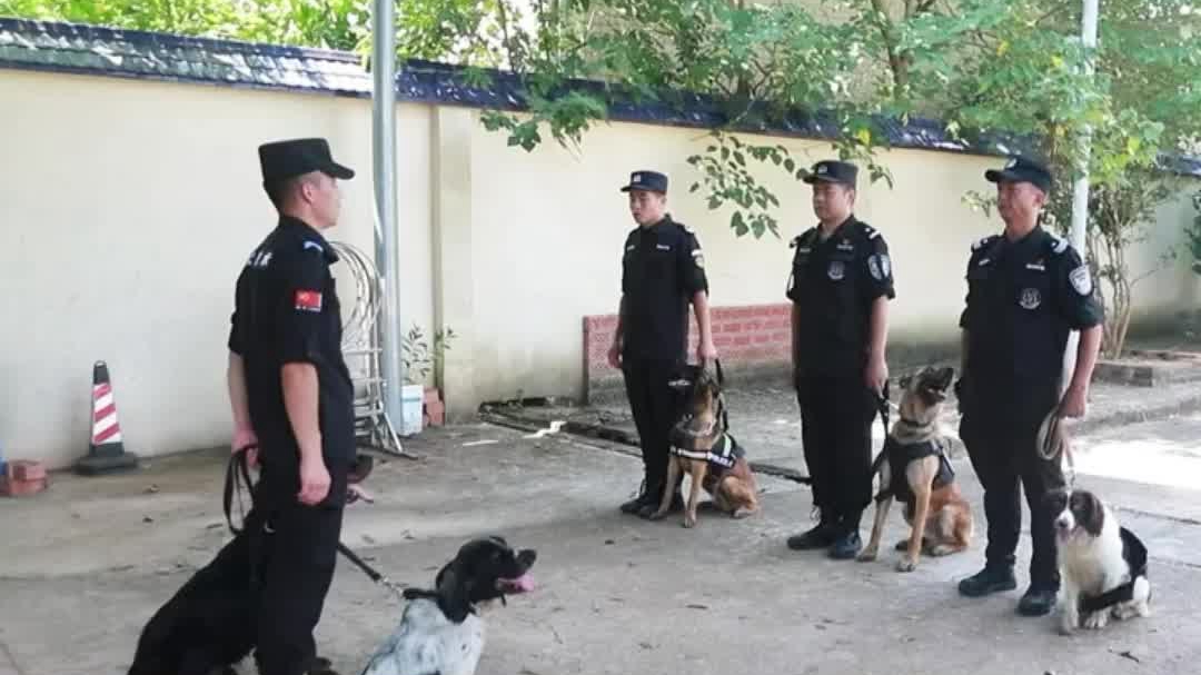 不舍离去！长沙县首批警犬退役 离别时跳车奔回训导员