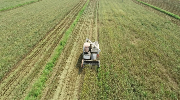 江华：农机成为早稻收割的“得力干将”