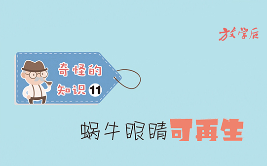 放学后·漫画｜奇怪的知识11：蜗牛眼睛可再生