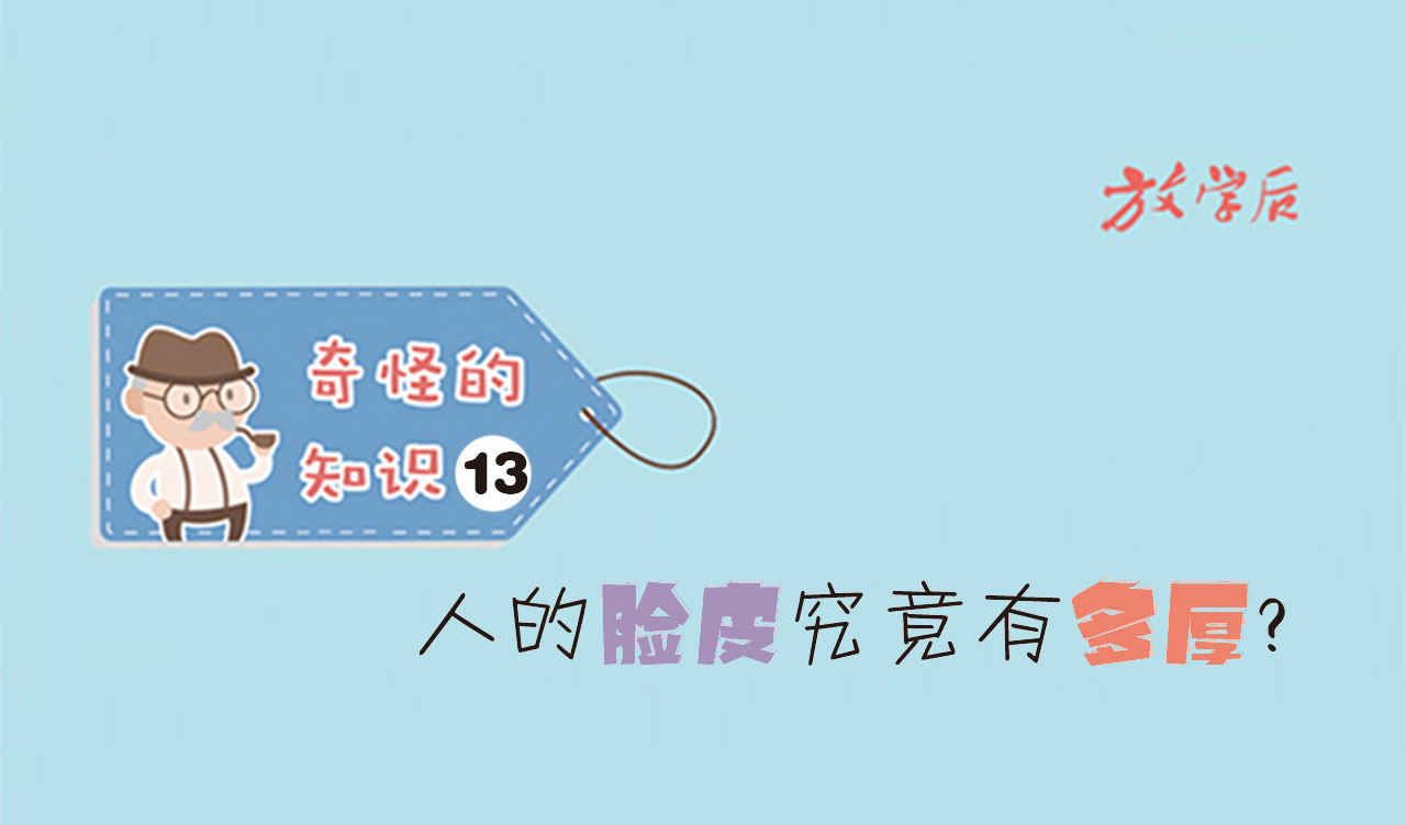 放学后·漫画｜奇怪的知识13：人的脸皮究竟有多厚？