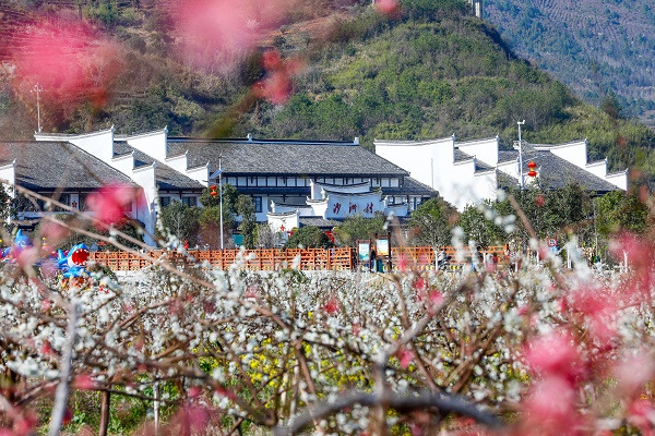 “半条被子”：跨越时空的接力 ——湖南郴州探索民企助推乡村振兴“沙洲样板”