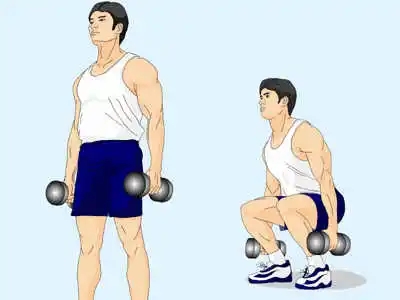 臀腿肌群训练 为运动添“动力”