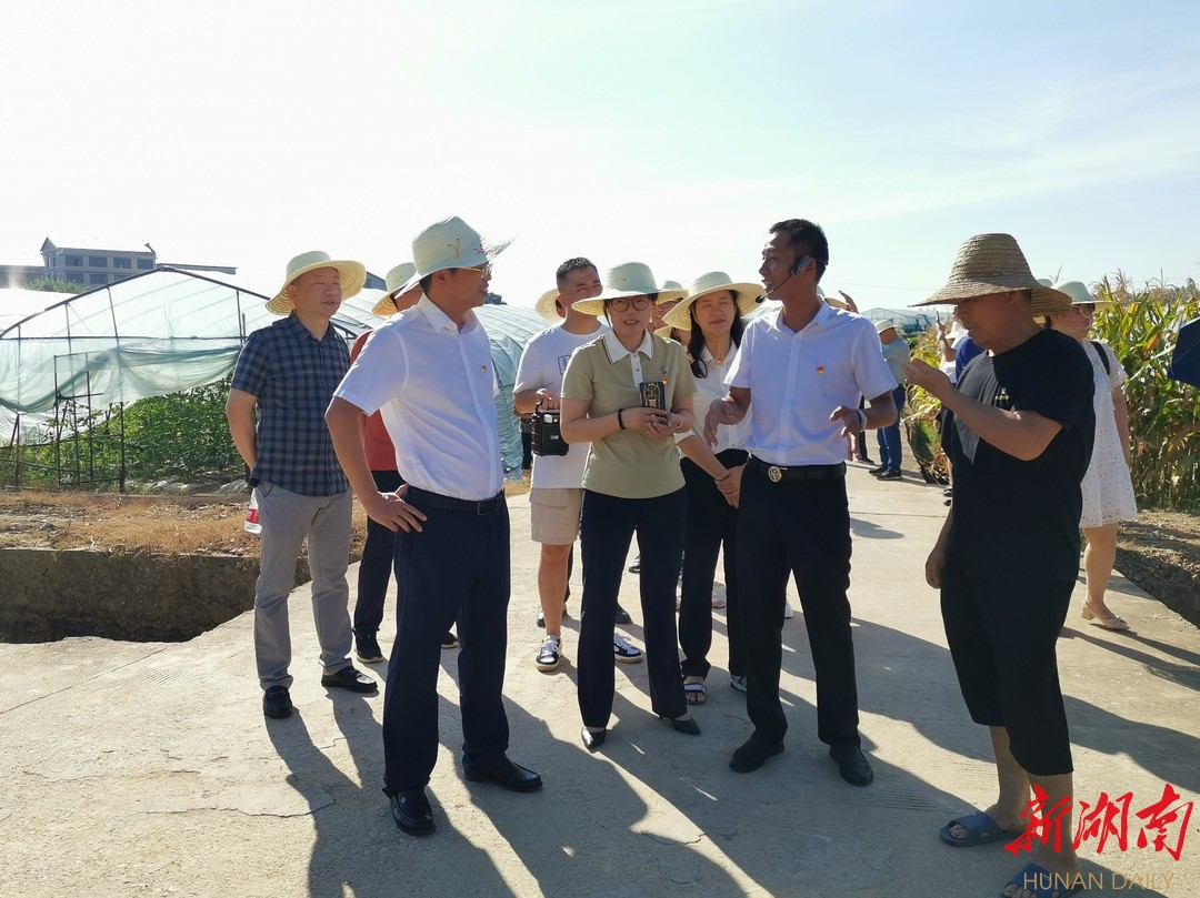 双清区力推农村集体经济发展