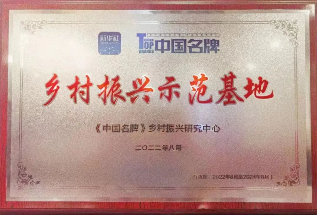 龙喜水乡：耕耘乡村五年，收到一份来自新华社的授牌